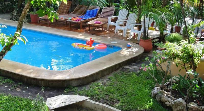 Koox City Garden Hotel Playa del Carmen Dış mekan fotoğraf